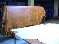 /album/fotogaleria/a14-jpg/